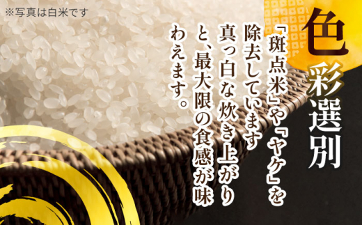 【5月発送】愛知県産 にこまる・あいちのかおり 玄米 各5kg 特別栽培米 お米 ご飯 愛西市／戸典オペレーター [AECT007-5]