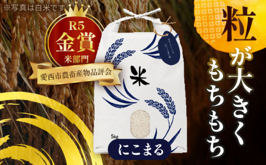 【5月発送】愛知県産 にこまる・あいちのかおり 玄米 各5kg 特別栽培米 お米 ご飯 愛西市／戸典オペレーター [AECT007-5]