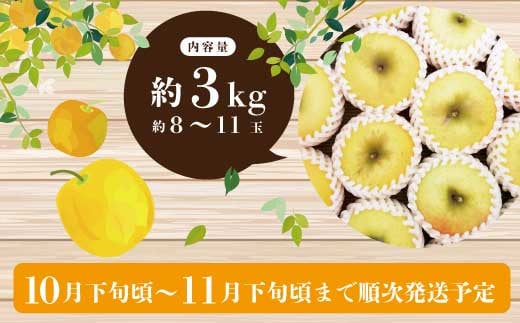 [No.5657-3621]シナノゴールド 約3kg (約8～11玉) 《とくだ農園》■2024年発送■※10月下旬頃～11月下旬頃まで順次発送予定