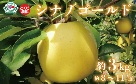 [No.5657-3621]シナノゴールド 約3kg (約8～11玉) 《とくだ農園》■2024年発送■※10月下旬頃～11月下旬頃まで順次発送予定