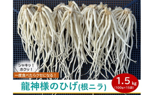 【 期間限定 (2025年3月10日まで受付)  】龍神様のひげ  ( 根ニラ )  1,500g (100g×15袋) ／ 株式会社 すわファーム 野菜 香味野菜 根菜 無農薬 高原野菜【91-02】