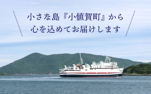 【全3回定期便】 毎月違ったお品が届く！海の幸定期便 5万円 50,000円 あおさ 鯨 ヒラマサのつけ丼 [DYZ021]