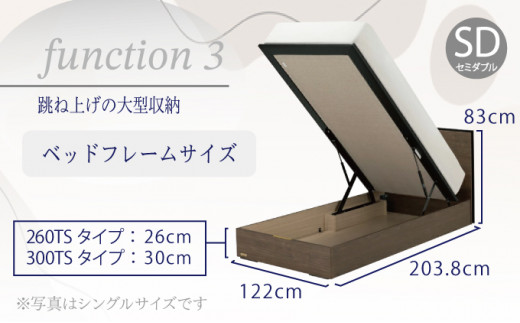 フランスベッド BG-001（跳ね上げ収納タイプ 260mm）セミダブル【ベッドフレームのみ】R-294