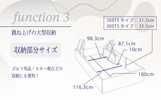 フランスベッド BG-001（跳ね上げ収納タイプ 260mm）セミダブル【ベッドフレームのみ】R-294