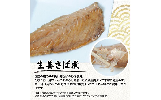 783　湯煎するだけですぐ食べられる「さばの生姜煮」1枚×10パック