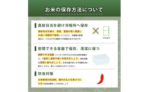 令和7年度産 新米 きぬむすめ 白米 20kg 先行予約 ＜ 2025年10月