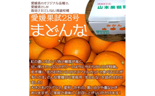 紅まどんなと同品種！＜まどんな 約4kg（家庭用・M～3Lサイズ混合）＞果物 オレンジ フルーツ 柑橘 みかん 愛果28号 マドンナ 自宅用 食べて応援 特産品 産地直送 山本果樹園 西宇和 三瓶産 愛媛県 西予市【常温】