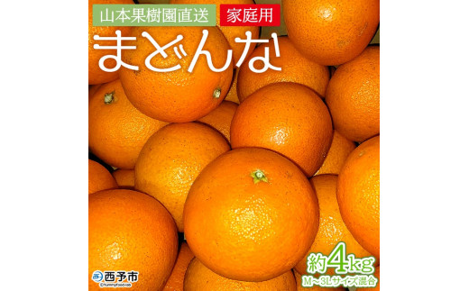 紅まどんなと同品種！＜まどんな 約4kg（家庭用・M～3Lサイズ混合）＞果物 オレンジ フルーツ 柑橘 みかん 愛果28号 マドンナ 自宅用 食べて応援 特産品 産地直送 山本果樹園 西宇和 三瓶産 愛媛県 西予市【常温】