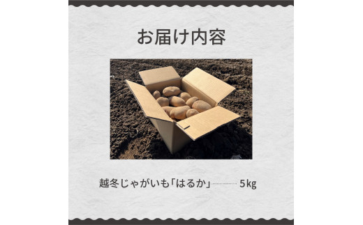 【先行受付】【2025年4月より順次発送】北海道十勝芽室町　なまら十勝野　越冬じゃがいも　はるか　5kg　me001-028c