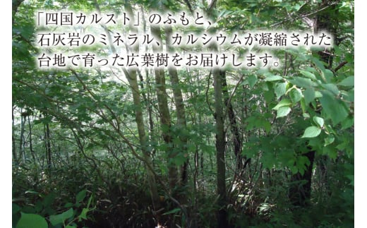 四万十源流 松ちゃんの薪 18kg～20kg [イブ・ハート 高知県 津野町 26ax0001] 薪 暖炉 木材 材木 焚火 たき火 キャンプ アウトドア バーベキュー BBQ