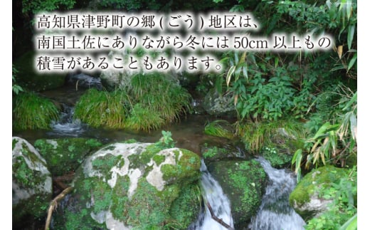 四万十源流 松ちゃんの薪 18kg～20kg [イブ・ハート 高知県 津野町 26ax0001] 薪 暖炉 木材 材木 焚火 たき火 キャンプ アウトドア バーベキュー BBQ