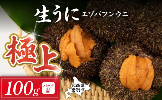 先行予約 極上 エゾバフンウニ 100g(パック詰)配送期間A:6月上旬~8月中旬迄 | ふるさと納税 うに 高級 ウニ 雲丹 生ウニ エゾ ...