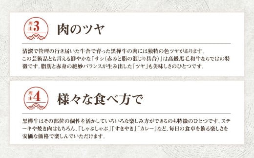 くまもと黒毛和牛 杉本本店 黒樺牛 A4~A5等級 焼肉用カルビ