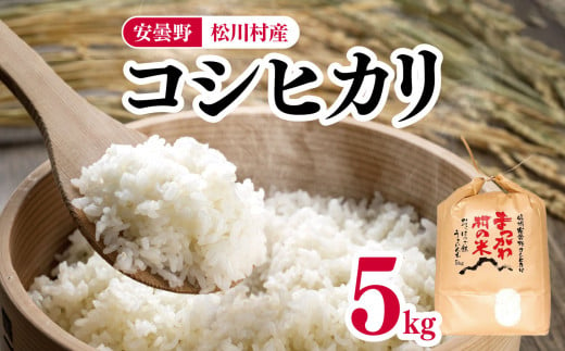 *【令和6年度産】有限会社ファームいちまる 安曇野松川村産コシヒカリ5kg | 米 白米 精米 コシヒカリ こしひかり お米 おこめ 長野県 松川村 信州