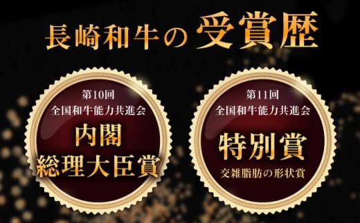 長崎和牛 ヒレ・サーロインセット　総計約400g【合同会社肉のマルシン】 [QBN057]