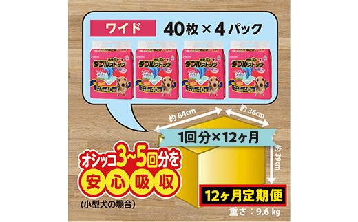 445【12ヶ月連続お届け】定期便 12回 消臭シート ダブルストップ ワイド 40枚×4袋 クリーンワン ペットシーツ 犬用 消臭 抗菌 炭シート ペットシート