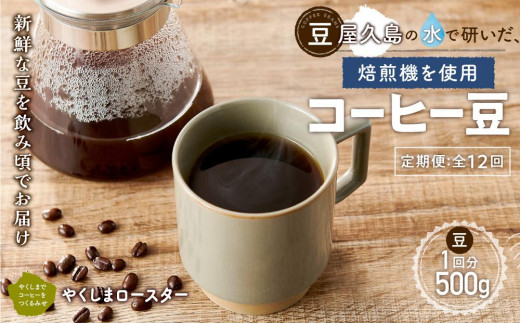 【定期便 全12回】【豆】屋久島の水で研いだ（焙煎機を使用した）コーヒー（1回分500g）