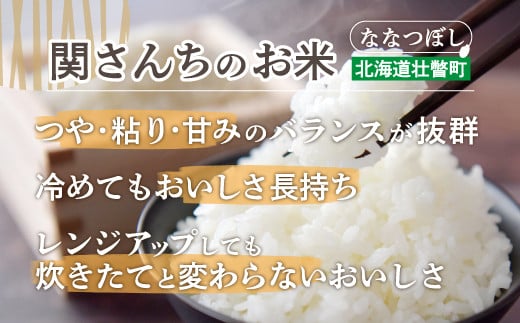 【令和6年産 新米】☆産直☆関さんが丹精込めて作ったお米 10kg（5kg×2袋） 【 ふるさと納税 人気 おすすめ ランキング 新米 米 こめ 精米 白米 ご飯 ごはん ななつぼし 10kg 北海道 壮瞥町 送料無料 】 SBTV001