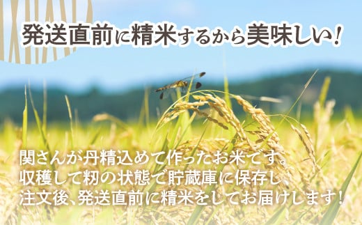 【令和6年産 新米】☆産直☆関さんが丹精込めて作ったお米 10kg（5kg×2袋） 【 ふるさと納税 人気 おすすめ ランキング 新米 米 こめ 精米 白米 ご飯 ごはん ななつぼし 10kg 北海道 壮瞥町 送料無料 】 SBTV001