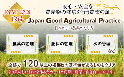 【先行予約】【令和6年産 新米】福井県大野市産 JGAP認証 コシヒカリ「あかね」（玄米）10kg【11月初旬より順次発送】