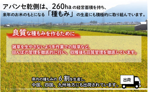 【先行予約】【令和6年産 新米】福井県大野市産 JGAP認証 コシヒカリ「あかね」（玄米）10kg【11月初旬より順次発送】