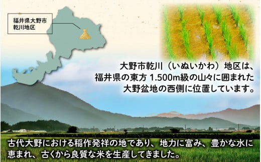 【先行予約】【令和6年産 新米】福井県大野市産 JGAP認証 コシヒカリ「あかね」（玄米）10kg【11月初旬より順次発送】