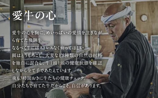 【年内順次発送】飛騨牛サーロインステーキ  200g×2枚　国産 牛肉 ブランド牛 ステーキ ギフト 贈答【冷凍】年内配送 年内発送 年内に届く 年内お届け