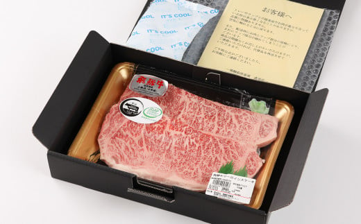 【年内順次発送】飛騨牛サーロインステーキ  200g×2枚　国産 牛肉 ブランド牛 ステーキ ギフト 贈答【冷凍】年内配送 年内発送 年内に届く 年内お届け