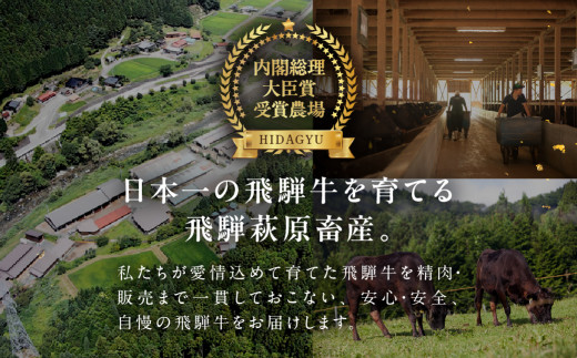 【年内順次発送】飛騨牛サーロインステーキ  200g×2枚　国産 牛肉 ブランド牛 ステーキ ギフト 贈答【冷凍】年内配送 年内発送 年内に届く 年内お届け