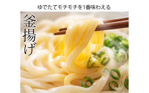 しあわせ製麺の『24時間熟成本場讃岐うどん』大盛8人前　鎌田醤油特製うどんつゆ付き【L-35】