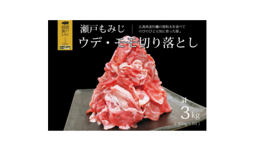 ＜計3kg＞庄原産豚肉「瀬戸もみじ」切り落とし　300g×10パック小分けセット【1359558】