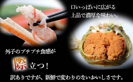 【訳あり】浜茹でオオズワイガニのメス（外子付き）2kg 詰め込みセット 北海道噴火湾産 ＜道産ネットミツハシ＞ かに カニ 蟹 がに 北海道 森町 ふるさと納税 mr1-0727