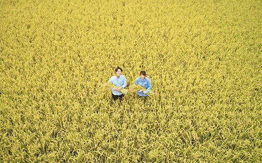 【令和6年産 新米 先行予約】 特別栽培米 つや姫 計10kg (5kg×2袋)  《令和6年10月中旬～発送》 『平農園』 山形南陽産 米 白米 精米 ご飯 農家直送 山形県 南陽市 [2041-R6]