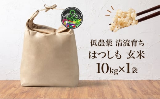 [№5308-0445]令和6年産 低農薬 清流育ち はつしも玄米 10kg×1袋 新米 お米 米 ごはん ご飯 ハツシモ あっさり ふっくら ブランド米 大粒 幻の米 お取り寄せ 自家用 贈答用 贈り物 御礼 プレゼント 産地直送 産直 送料無料 美濃グリーン 岐阜県 美濃市