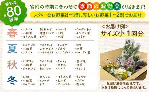 日時指定可能！旬のお野菜セット（サイズ中）【全６回定期便】