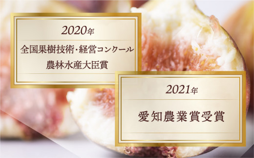 【2024年11月お届け】　完熟 いちじく［極］ 無花果 9-12玉 【専用箱でお届け】  贈答品   田原市16000円 