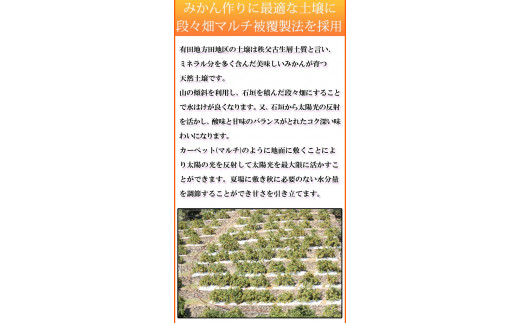 【ご家庭用訳あり】田村みかん　5kg　※2024年11月下旬頃〜2025年1月下旬頃に順次発送予定(お届け日指定不可) 訳ありみかん 温州みかん【uot754】