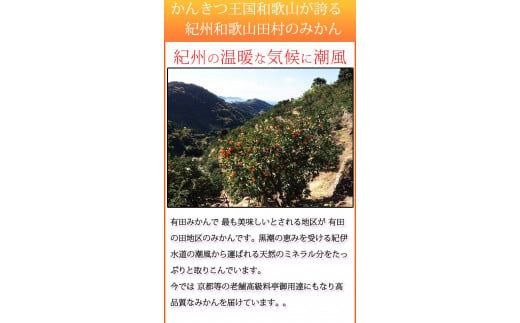 【ご家庭用訳あり】田村みかん　5kg　※2024年11月下旬頃〜2025年1月下旬頃に順次発送予定(お届け日指定不可) 訳ありみかん 温州みかん【uot754】