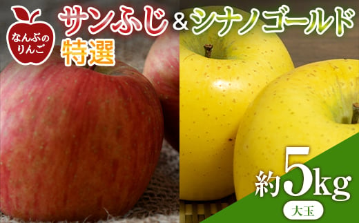 なんぶのりんご サンふじ ＆ シナノゴールド 特選(大玉) 約5kg(14～16玉)セット 《馬場果樹園》 2種セット  青森りんご リンゴ 林檎 アップル あおもり 青森 青森県 南部町 果物 くだもの フルーツ F21U-239