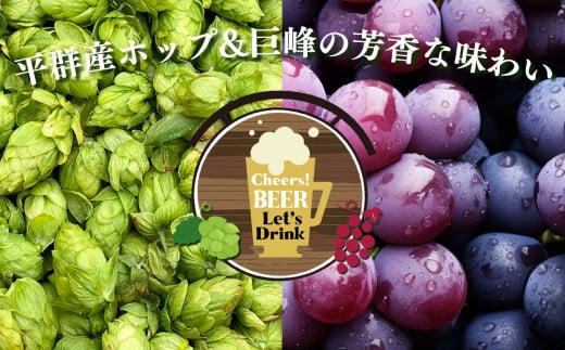 「今日も平和だ虎群れる」クラフトビール 3本セット  | お酒 酒 さけ ビール 奈良県 平群町