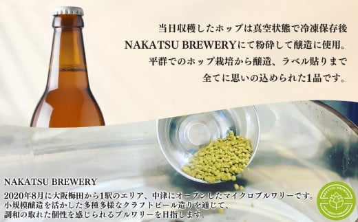 「今日も平和だ虎群れる」クラフトビール 3本セット  | お酒 酒 さけ ビール 奈良県 平群町