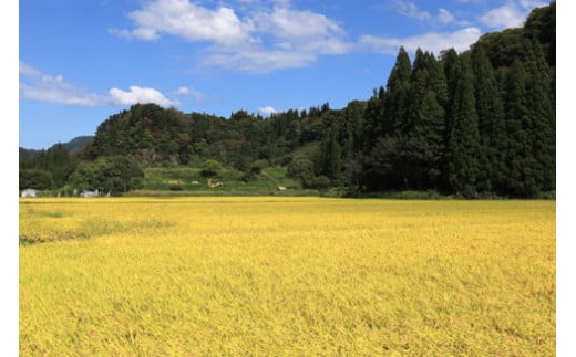 【令和６年産新米】奥会津金山大自然米コシヒカリ２ｋｇ（予約）