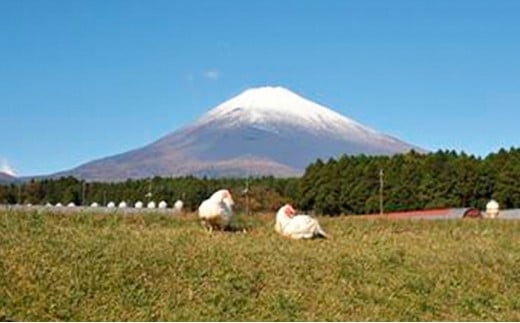 【太陽チキンスモーク】富士山セット【肉　とり肉】◆