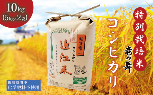 新米 【令和6年9月上旬より順次発送】 こしひかり 白米 10kg  （ 5kg × 2袋） 2024年産 竜の舞 化学肥料不使用 特別栽培米 国産 安心 安全 近江米 米 お米 白米 お弁当 玄米 産地直送 滋賀県 竜王町 送料無料