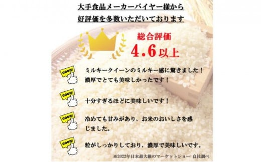 【12ヵ月定期便】特別優秀賞受賞 長野県産 ミルキークイーン 2kg（無洗米） [№5915-0695]