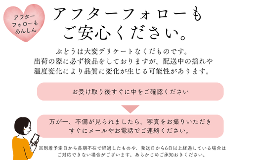 ぜひ一度松川町のぶどうをお試しください！