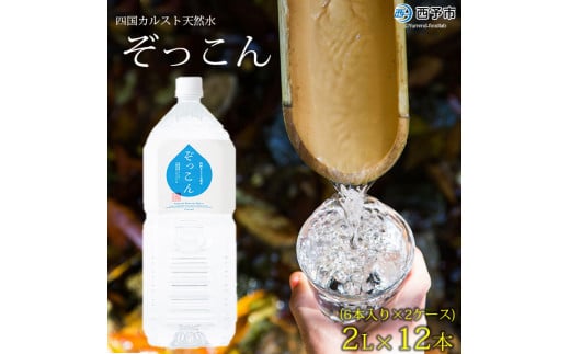 四国カルスト天然水ぞっこん 2L(6本入り)×2ケース 計12本