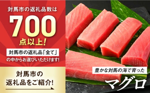 【あとから選べる】対馬市ふるさとギフト 20万円 分 《対馬市》 離島 コンシェルジュ 米 肉 魚介 海鮮 木工品 常温 冷蔵 冷凍 [WZZ017]