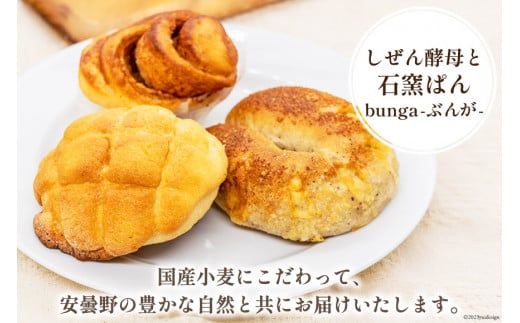 パン ぶんがお試し セット 8個入 [しぜん酵母と石窯ぱん bungaーぶんがー 長野県 池田町 48110557] 手作りパン 天然酵母 自家製酵母 窯焼きパン ハードパン メロンパン ぶどうパン 長野県産