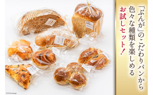 パン ぶんがお試し セット 8個入 [しぜん酵母と石窯ぱん bungaーぶんがー 長野県 池田町 48110557] 手作りパン 天然酵母 自家製酵母 窯焼きパン ハードパン メロンパン ぶどうパン 長野県産